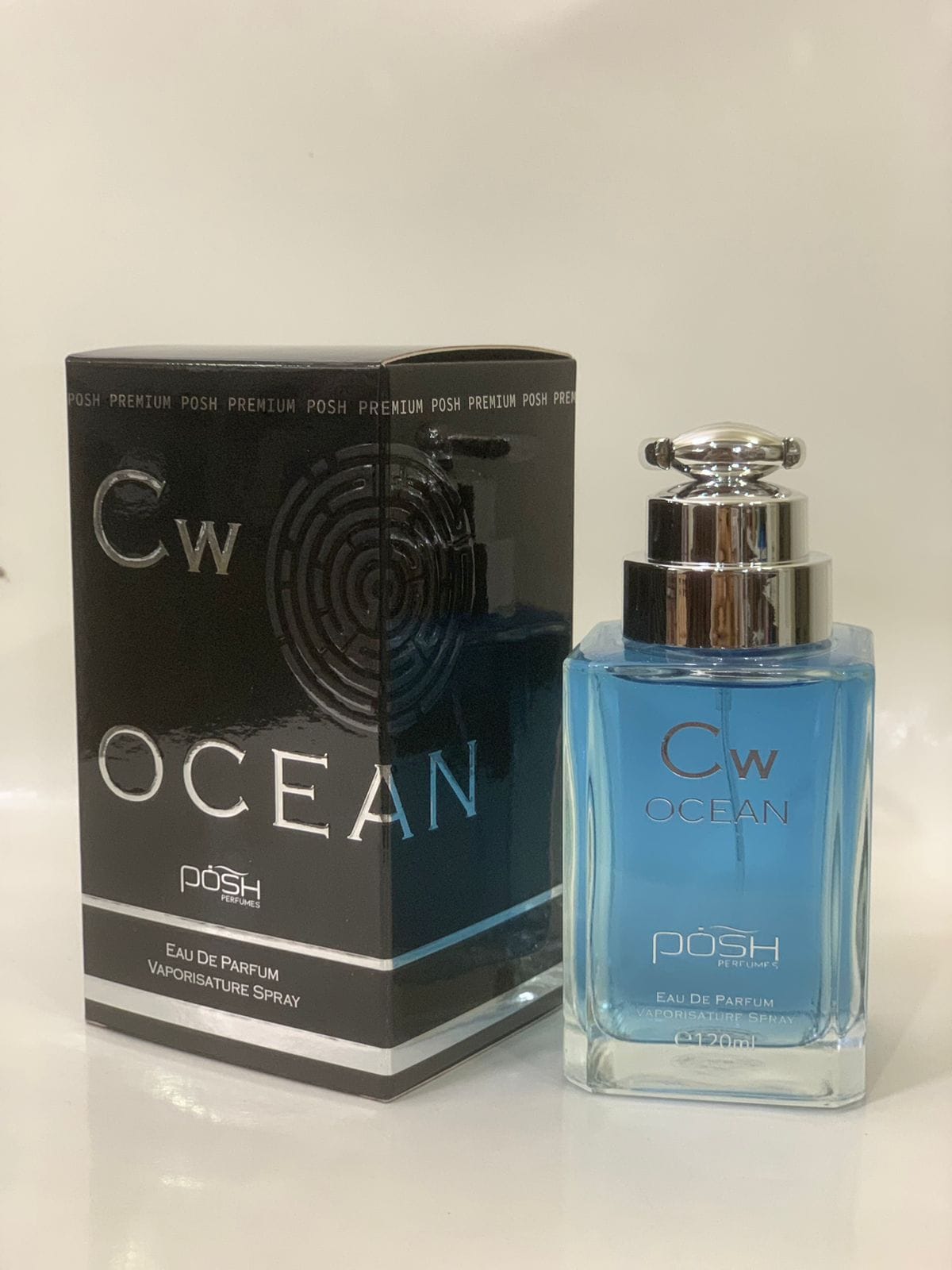 Posh Premium Cw ocean Edp 100ml impression of cool water