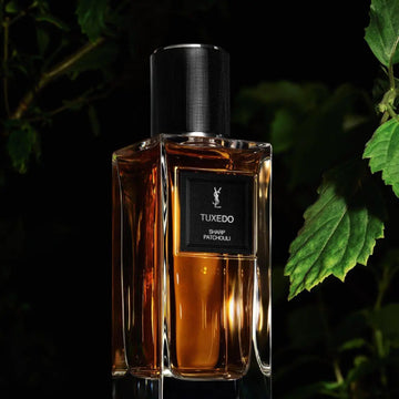 YSL Tuxedo Sharp Patchouli Edp 125ml