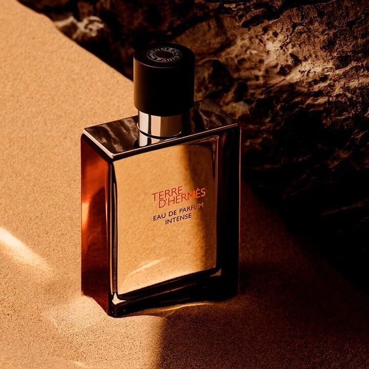 Hermes Terre D' Hermes Edp Intense 100ml For Men